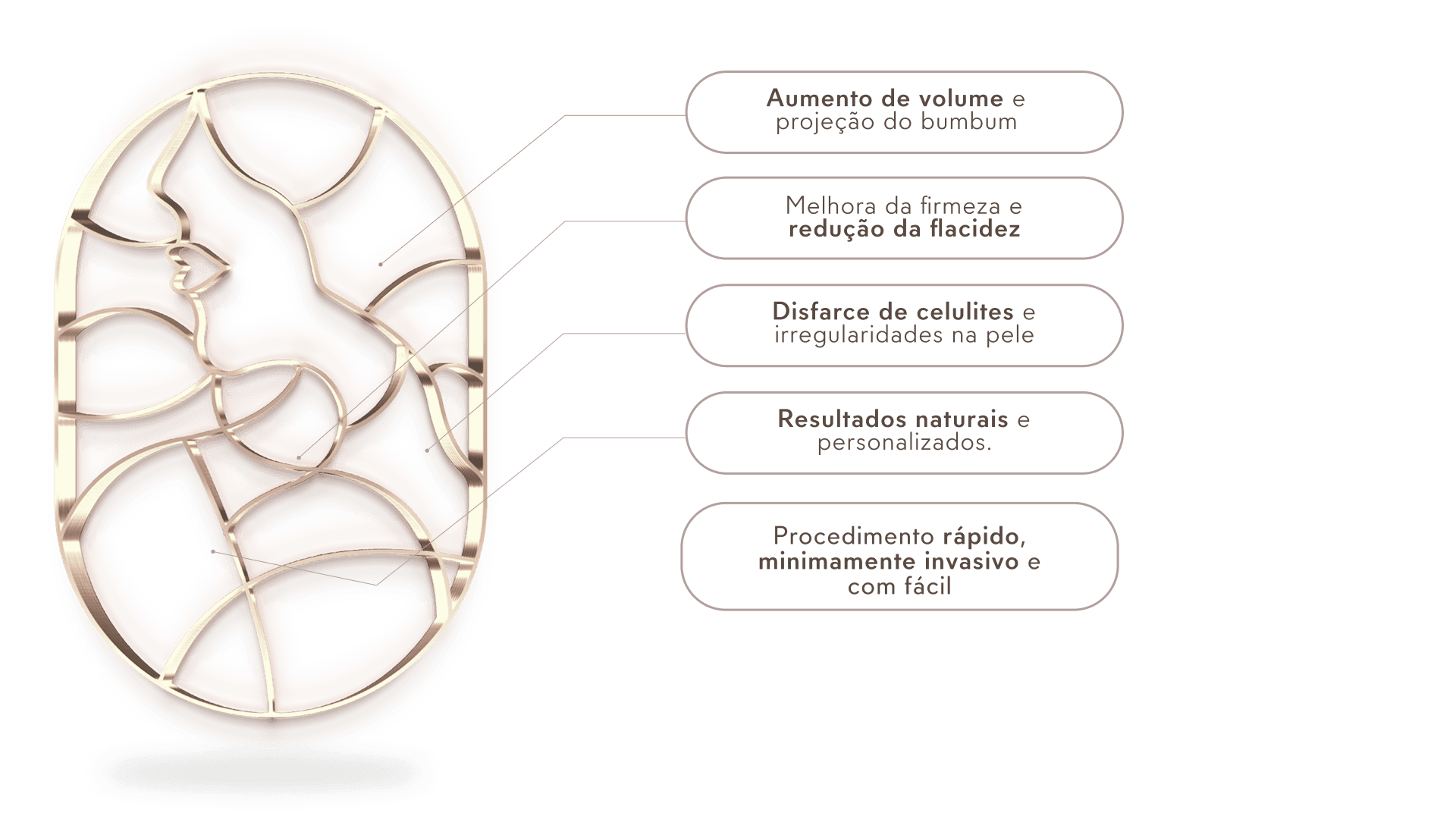 Logo do Instituto Harmonize-se